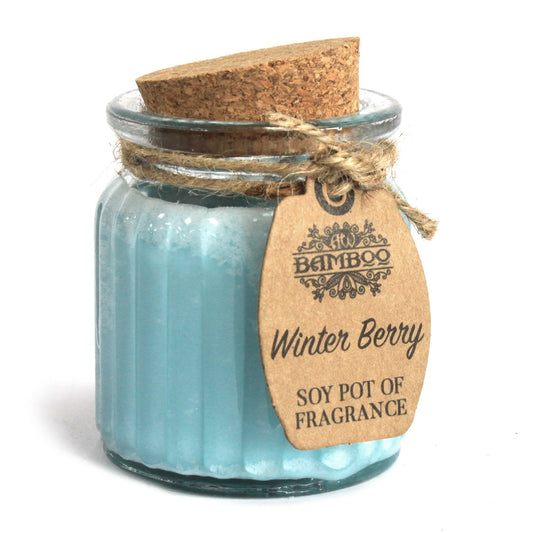 2 x Winter Berry Soy Pot Fragrance Candles