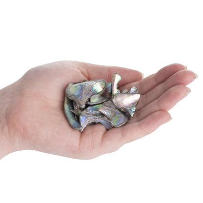 Abalone Tumbled Shell Pieces