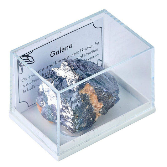 Rough Galena in Display Box - Medium - Crystal Nest