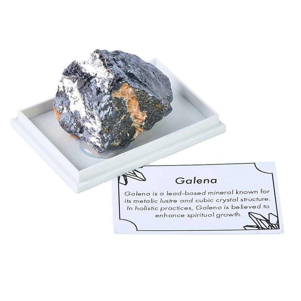 Rough Galena in Display Box - Medium - Crystal Nest
