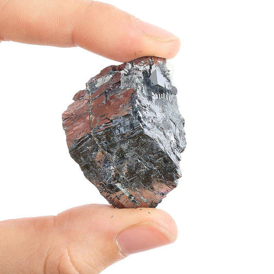 Rough Galena in Display Box - Medium - Crystal Nest