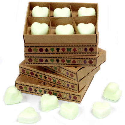 Apple Spice Soy Wax Melts | Pack of 6