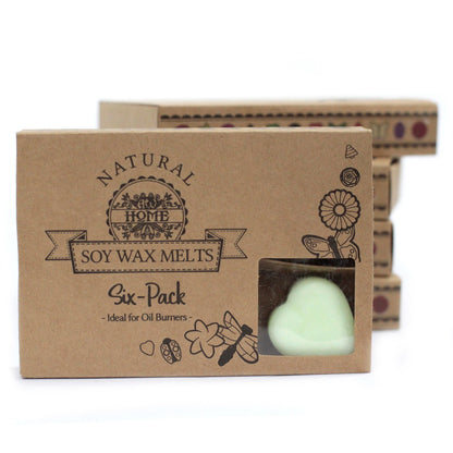 Apple Spice Soy Wax Melts | Pack of 6