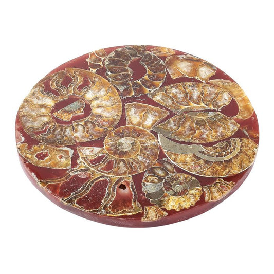 Ancient Ammonite Fossil Coaster - Crystal Nest