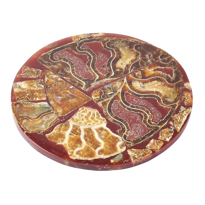 Ancient Ammonite Fossil Coaster - Crystal Nest