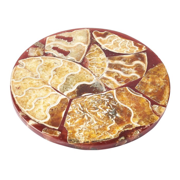 Ancient Ammonite Fossil Coaster - Crystal Nest