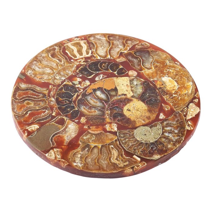 Ancient Ammonite Fossil Coaster - Crystal Nest