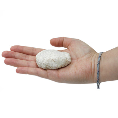 Calcite Geodes - Crystal Nest