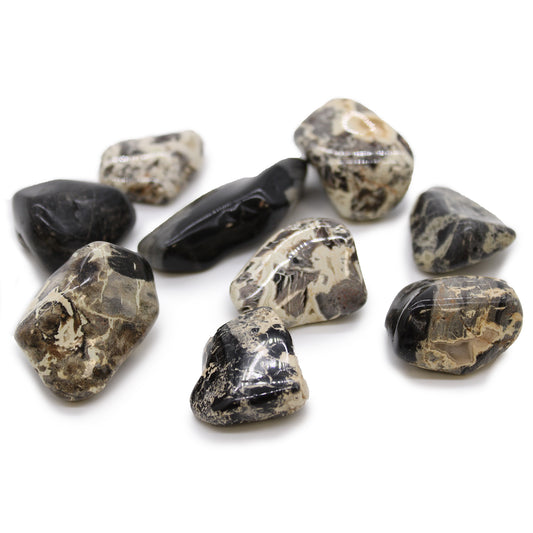 Silverleaf Jasper Tumblestone - Large - Crystal Nest