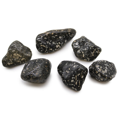 Guinea Fowl Tumblestone - Large - Crystal Nest