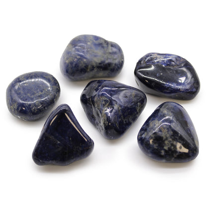 Sodalite Tumblestone - Large - Crystal Nest