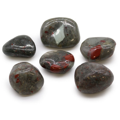 Bloodstone Seftonite Tumblestone - Large - Crystal Nest