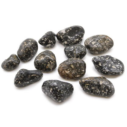 Guinea Fowl Tumblestone - Medium - Crystal Nest