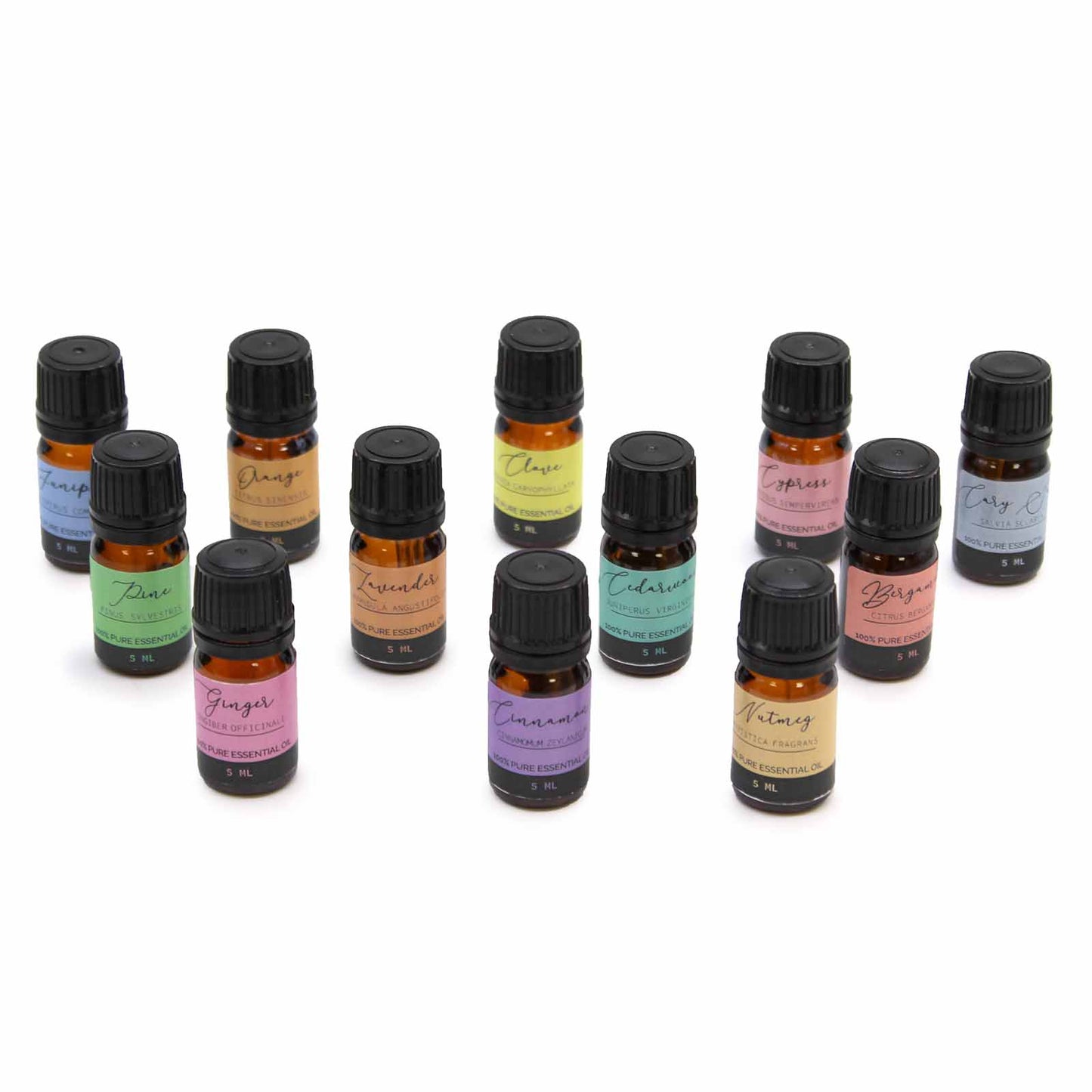 12 x Autumn Aromatherapy Essential Oil Set