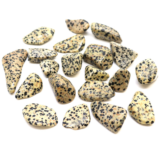 Dalmatian Tumblestone - Medium