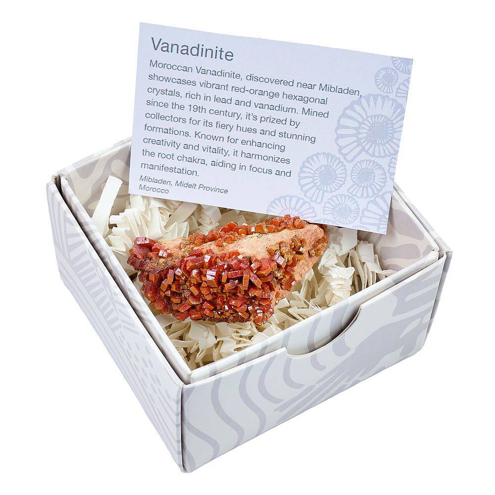 Vanadinite Specimen - Small (in Gift Box) - Crystal Nest
