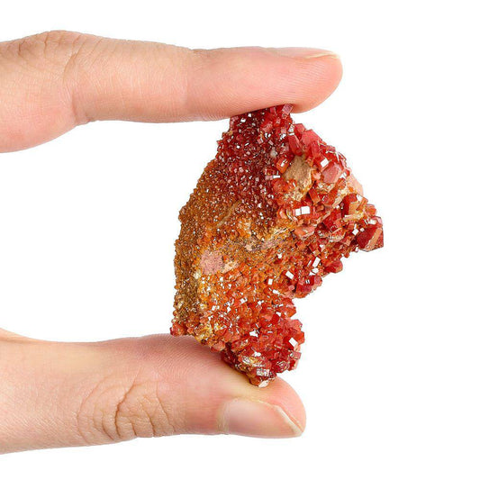 Vanadinite Specimen - Small (in Gift Box) - Crystal Nest