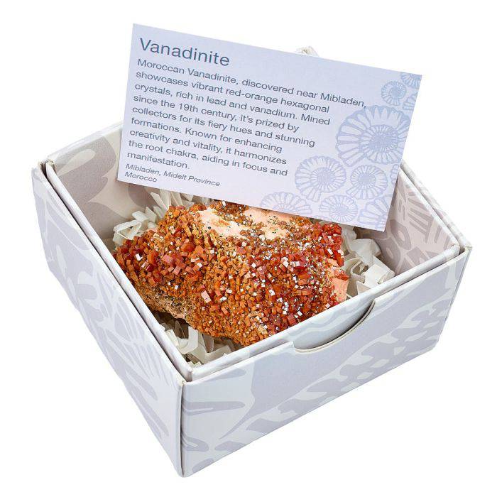 Vanadinite Specimen - Medium (in Gift Box) - Crystal Nest