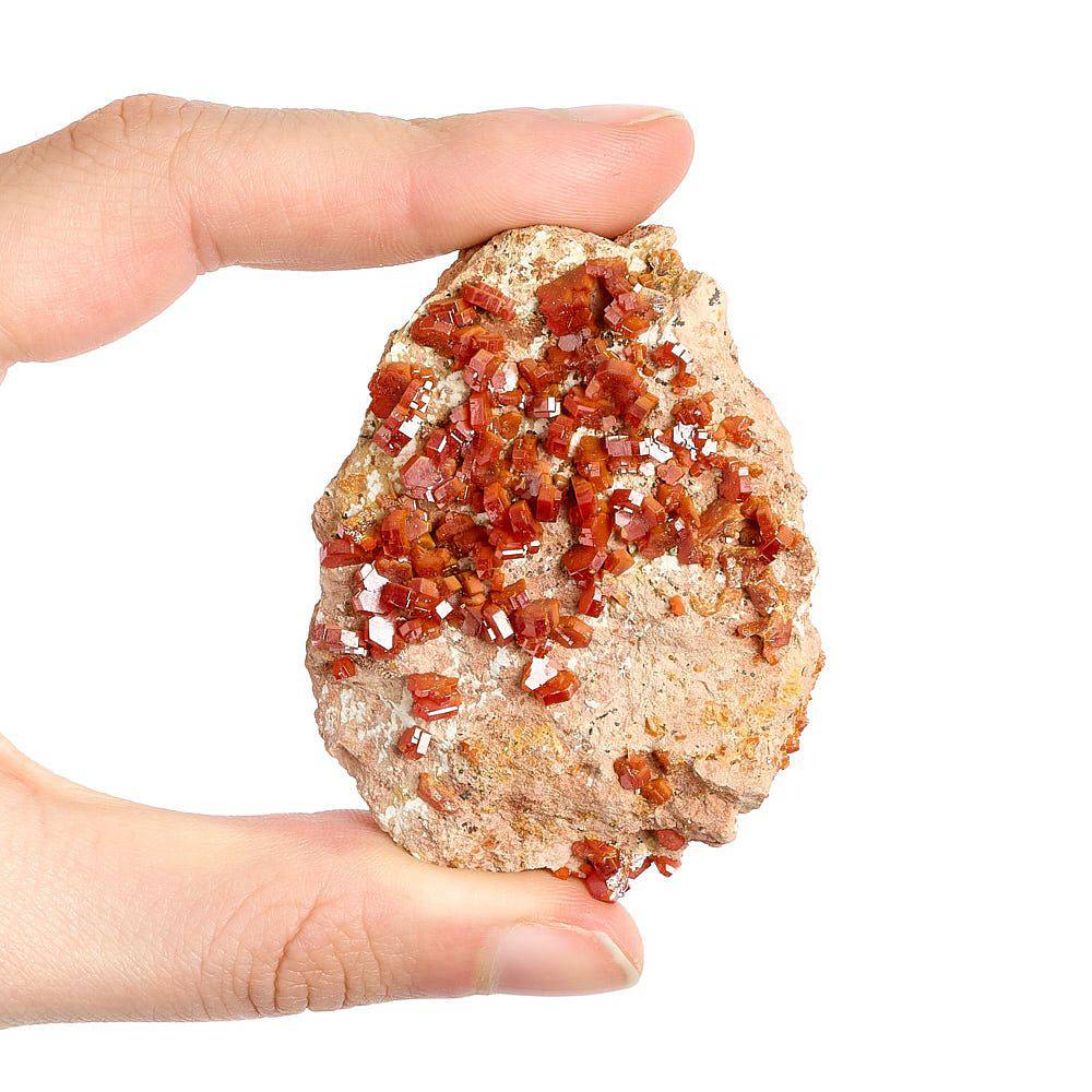 Vanadinite Specimen - Medium (in Gift Box) - Crystal Nest