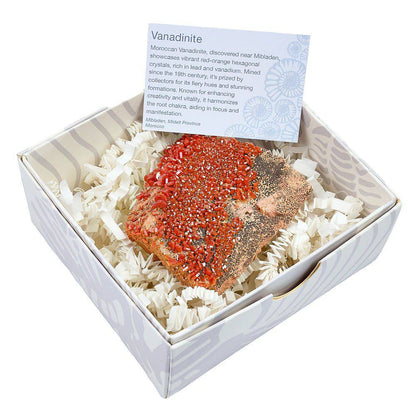 Vanadinite Specimen - Large (in Gift Box) - Crystal Nest