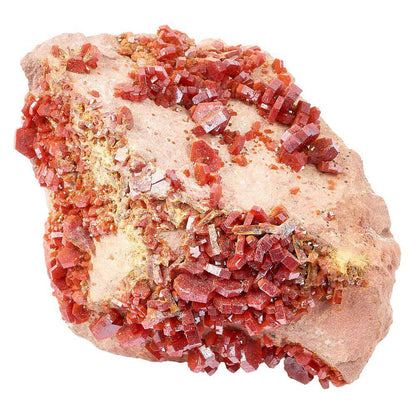Vanadinite Specimen - Large (in Gift Box) - Crystal Nest