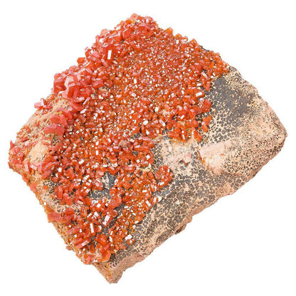 Vanadinite Specimen - Large (in Gift Box) - Crystal Nest