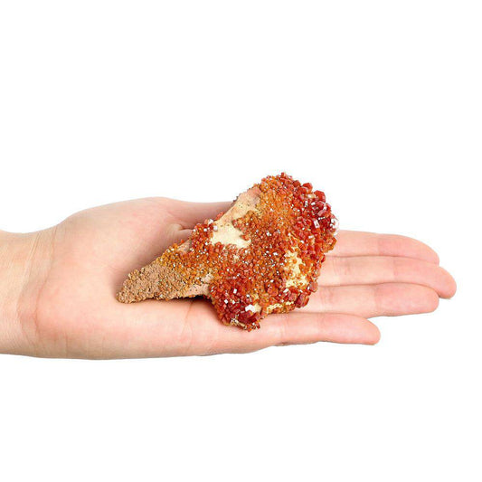 Vanadinite Specimen - Large (in Gift Box) - Crystal Nest