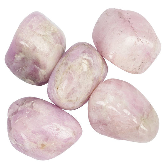 Kunzite Tumblestone | Medium - Crystal Nest
