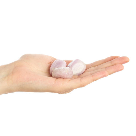 Kunzite Tumblestone | Medium - Crystal Nest