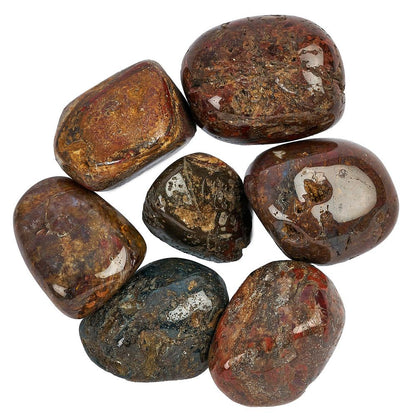 Pietersite Tumblestone | Medium - Crystal Nest