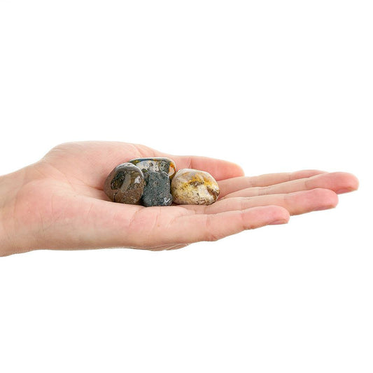 Pietersite Tumblestone | Medium - Crystal Nest