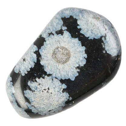Snowflake Obsidian Tumblestone - Medium - Crystal Nest