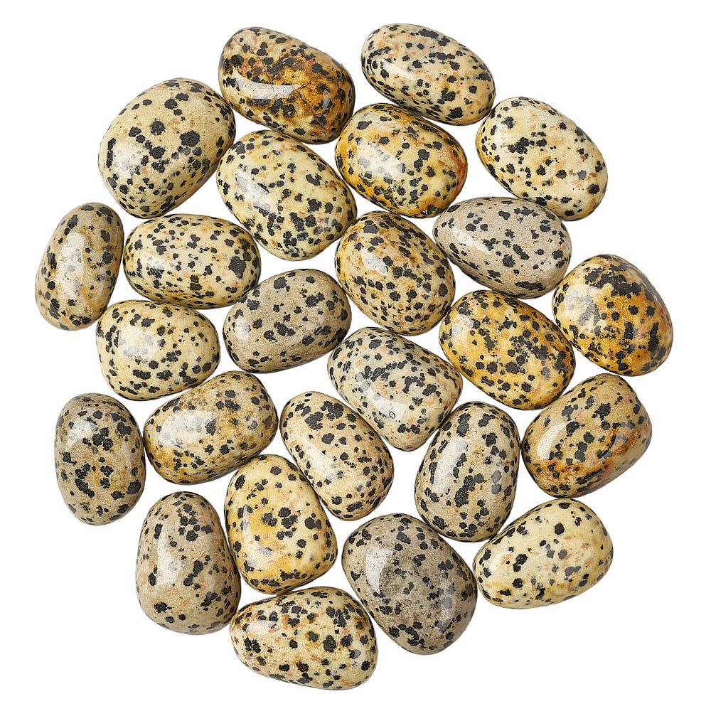 Dalmatian Jasper Tumblestone | Medium - Crystal Nest