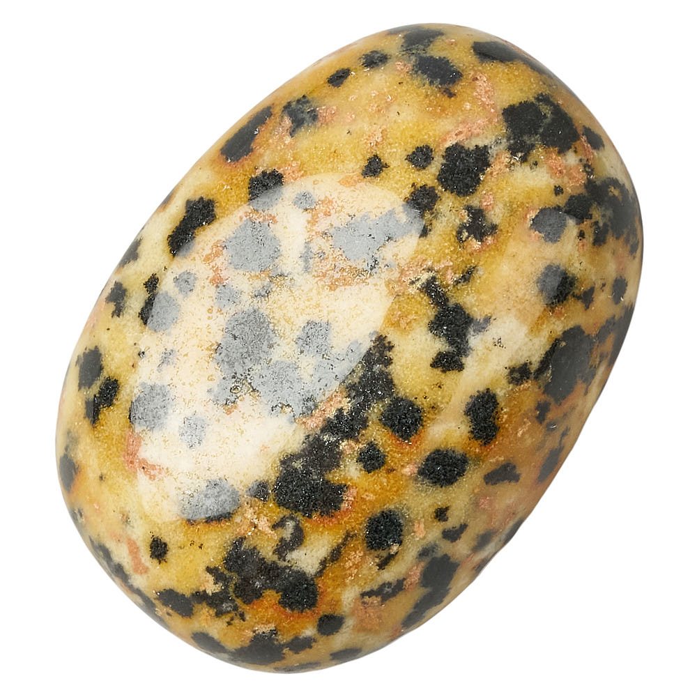 Dalmatian Jasper Tumblestone | Medium - Crystal Nest