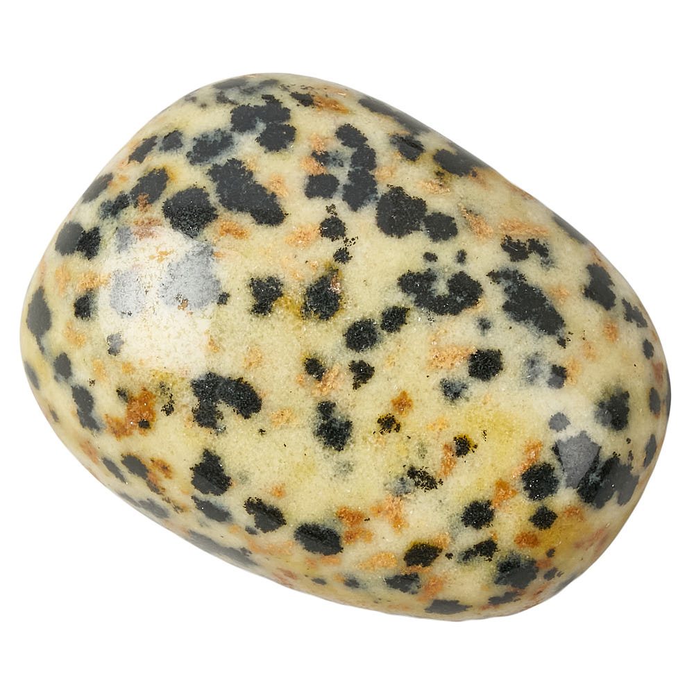 Dalmatian Jasper Tumblestone | Medium - Crystal Nest