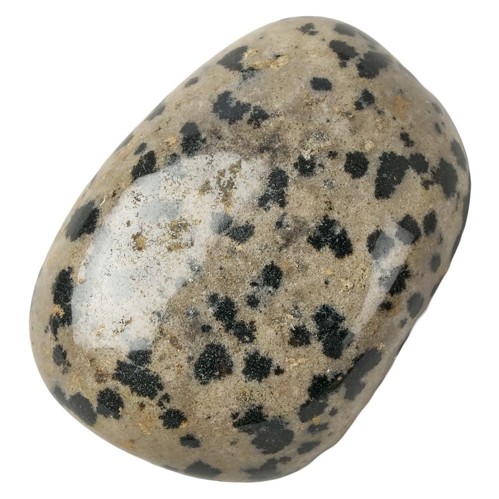 Dalmatian Jasper Tumblestone | Medium - Crystal Nest