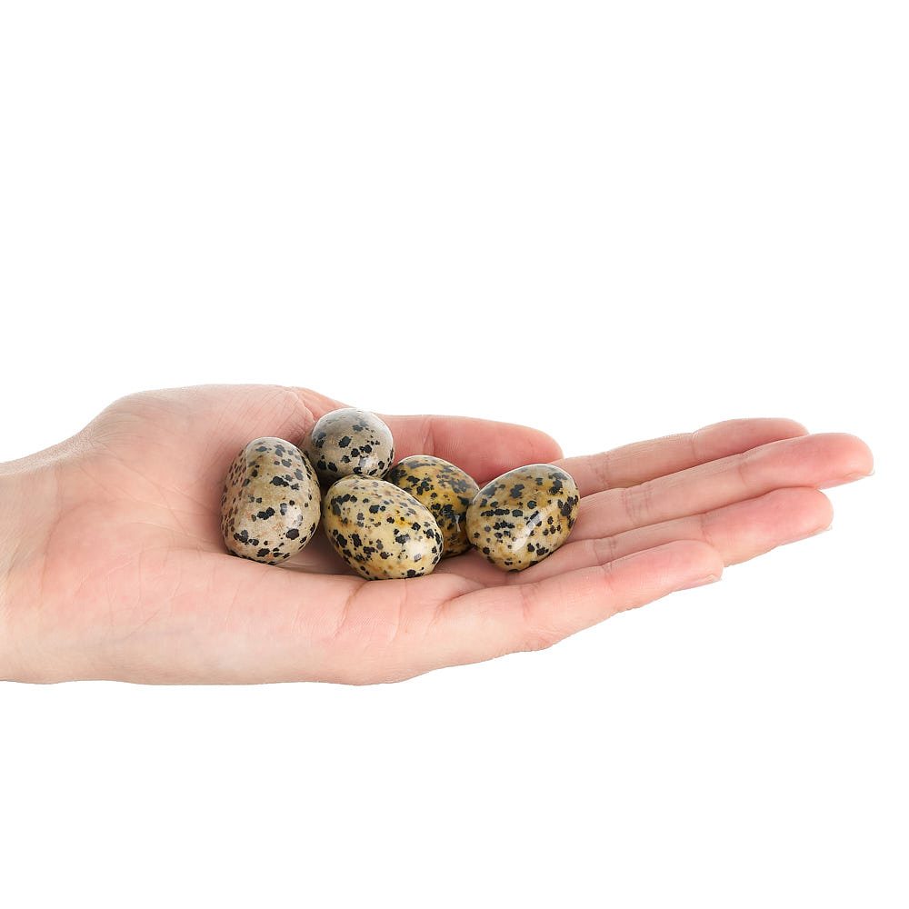 Dalmatian Jasper Tumblestone | Medium - Crystal Nest