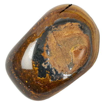 Golden Tigers Eye Tumblestone - Medium