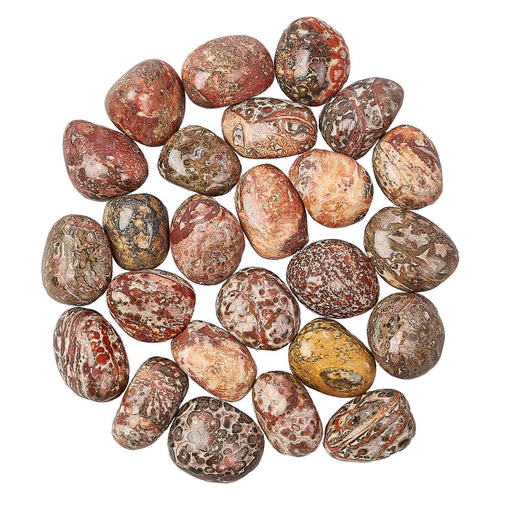 Leopardskin Jasper Tumblestone | Medium - Crystal Nest