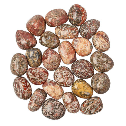 Leopardskin Jasper Tumblestone | Medium - Crystal Nest