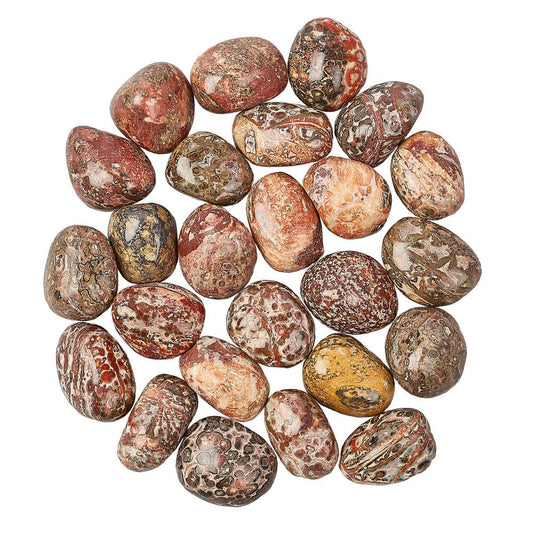 Leopardskin Jasper Tumblestone | Medium - Crystal Nest