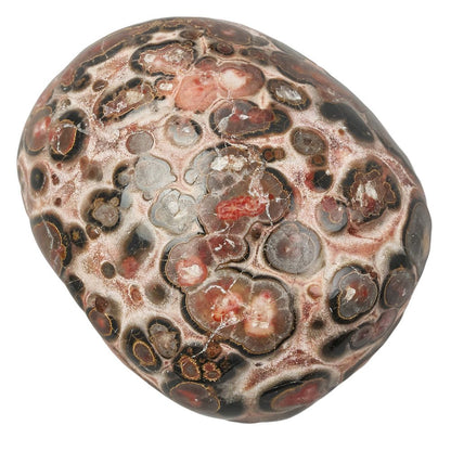 Leopardskin Jasper Tumblestone | Medium - Crystal Nest