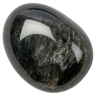 Black Obsidian Tumblestone | Medium - Crystal Nest