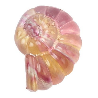 Rainbow Fluorite Ammonite Carving
