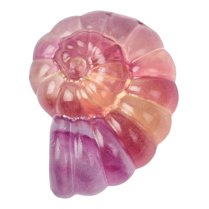 Rainbow Fluorite Ammonite Carving