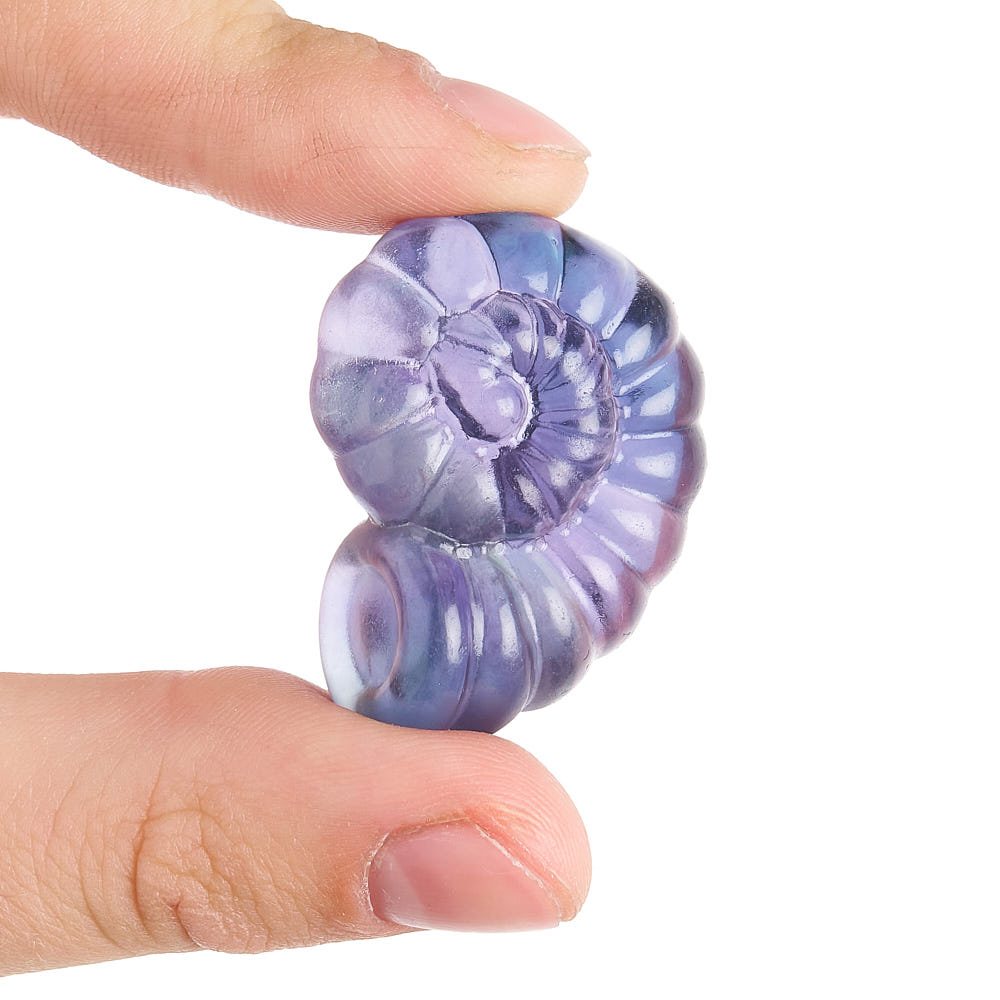 Rainbow Fluorite Ammonite Carving
