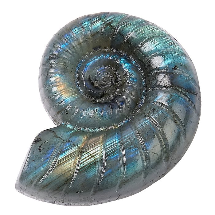 Labradorite Ammonite Crystal Carving