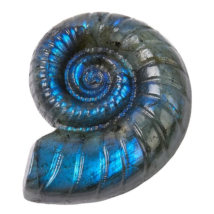 Labradorite Ammonite Crystal Carving