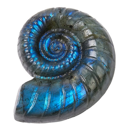 Labradorite Ammonite Crystal Carving