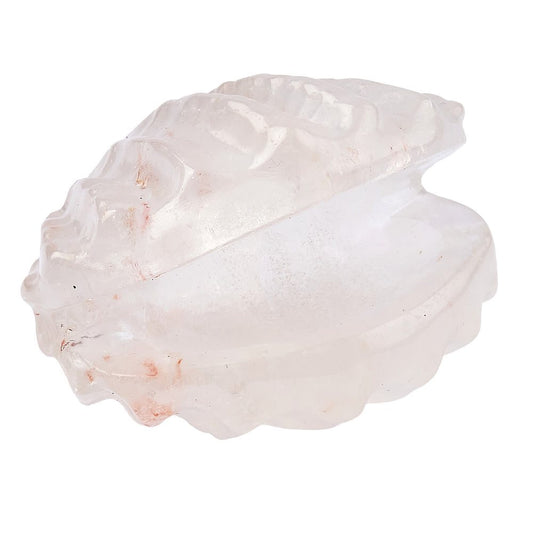Clear Quartz Crystal Shell